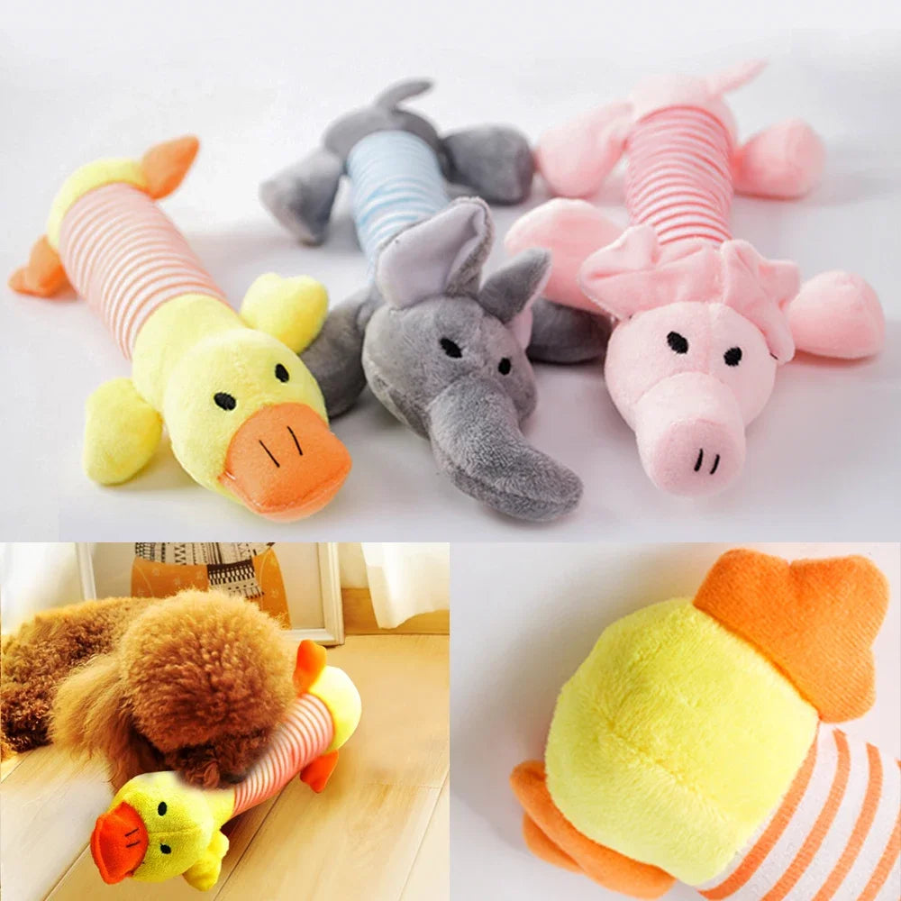 Clora toy