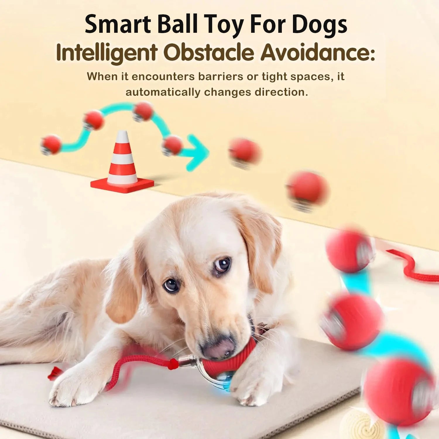 Interactive Ball