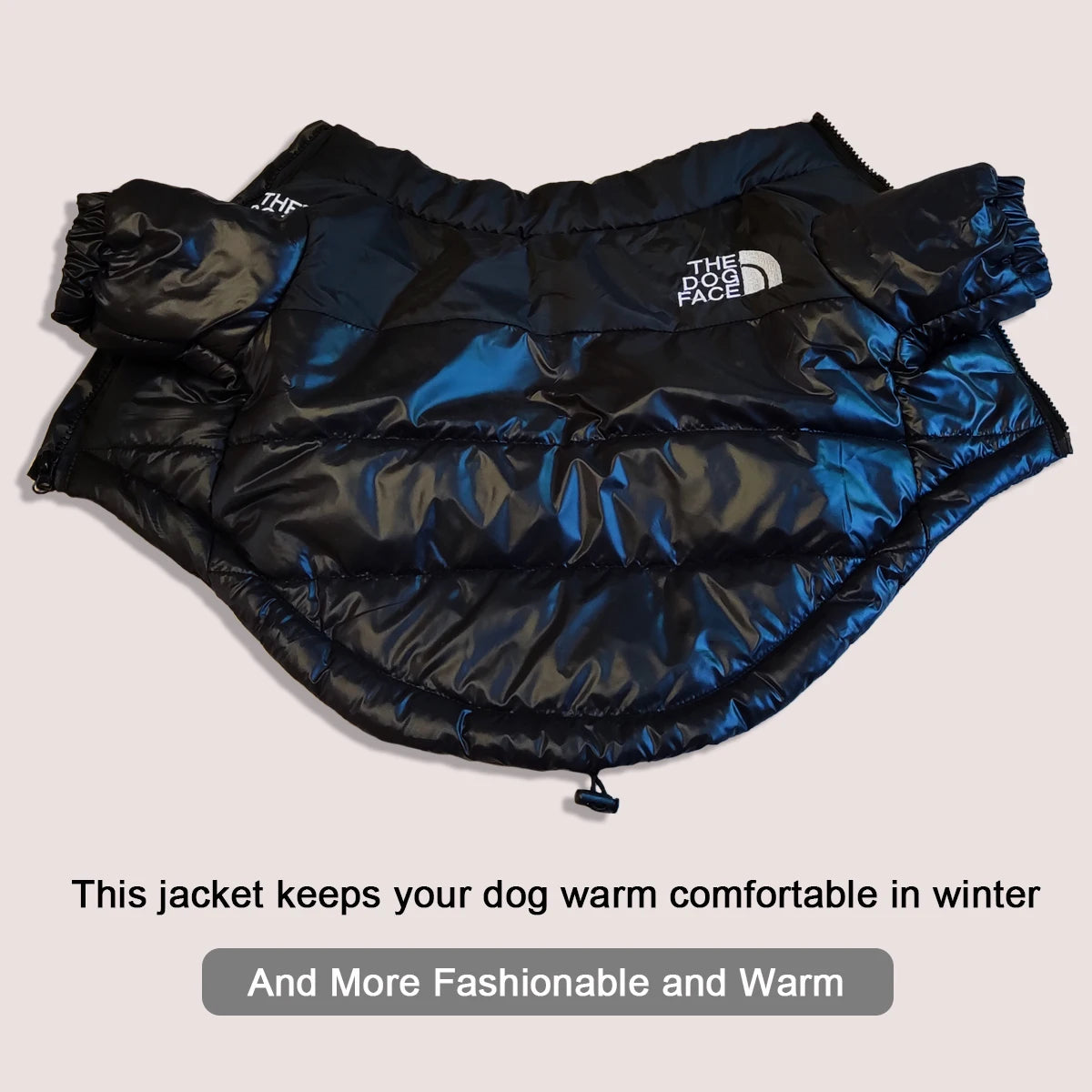 Windproof Jacket
