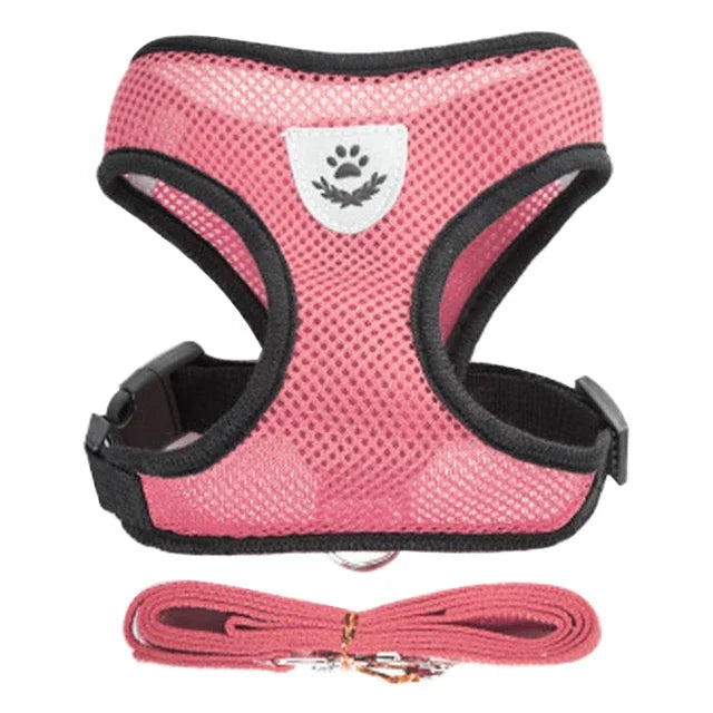 Walking Lead Leash