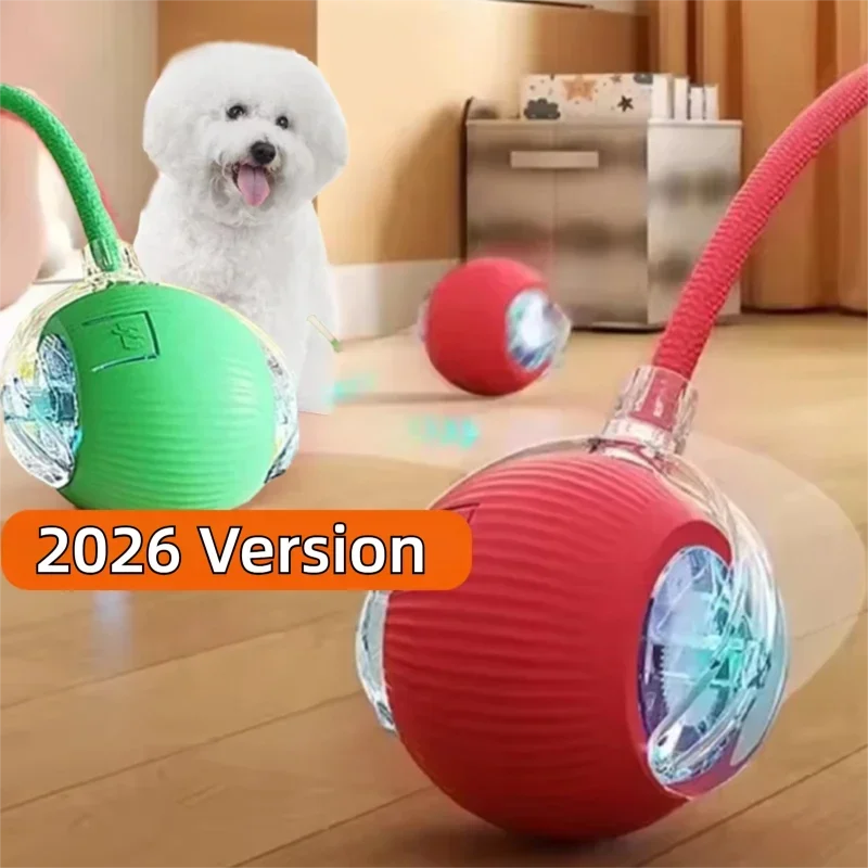 Interactive Ball