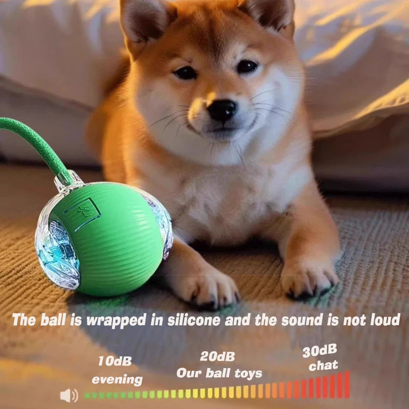 Interactive Ball