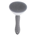 Brush