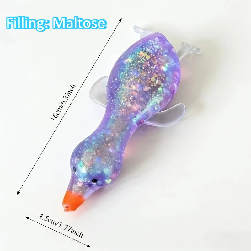 Duck Fidgets Toys