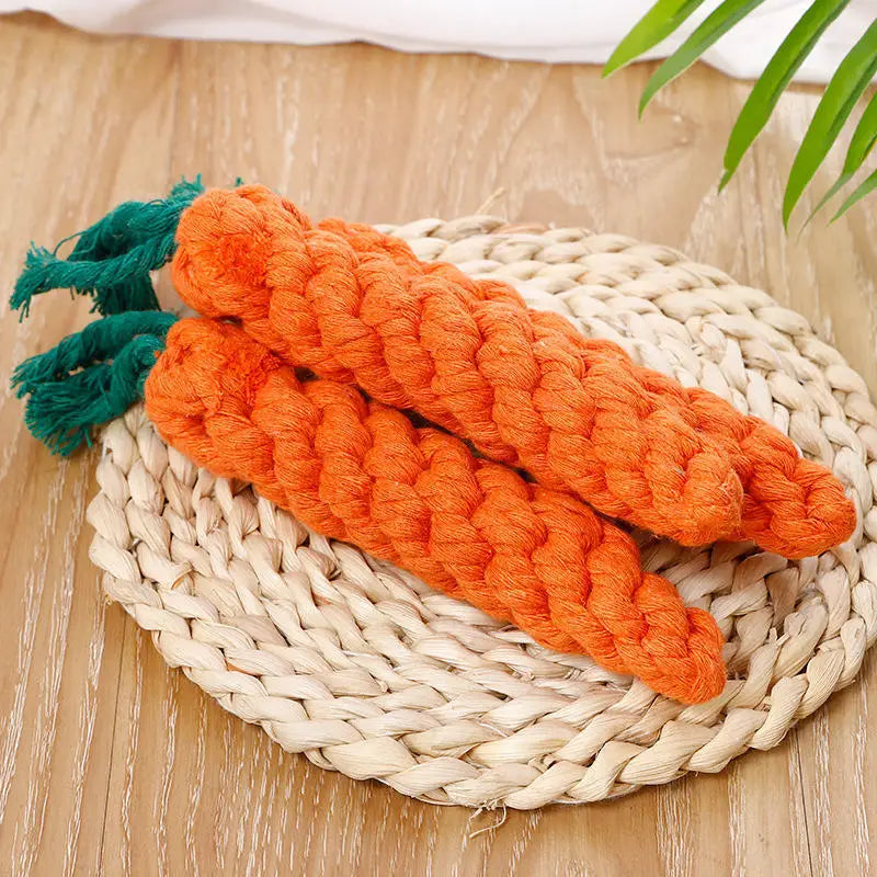 Carrot toy