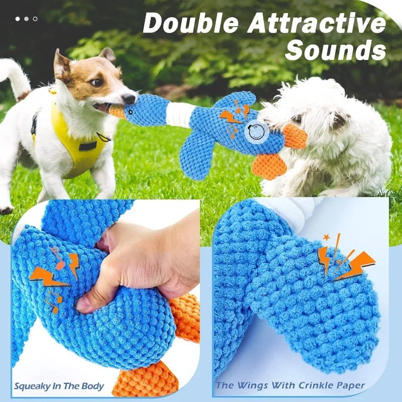 Aggressive Chewers
