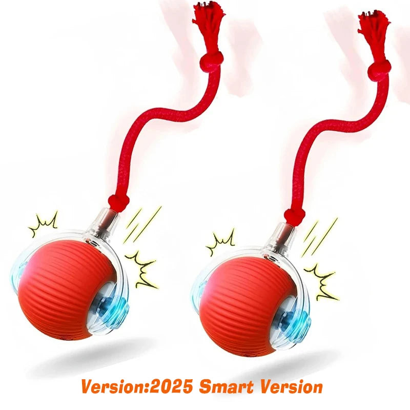 Interactive Ball