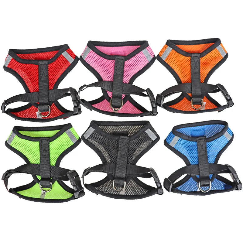 Sika Harness